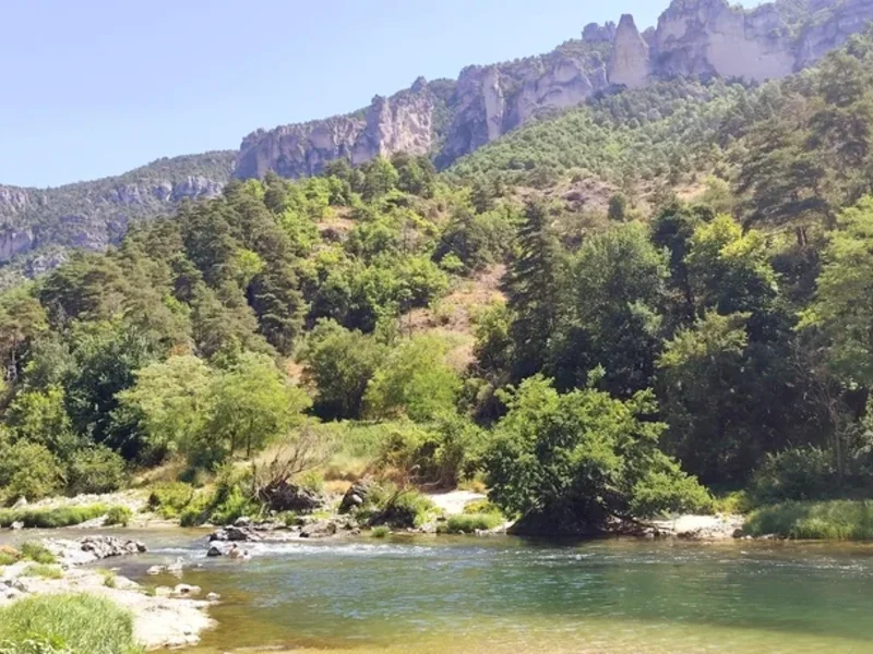 Plage des Basaltes
