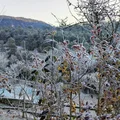 Le givre aux Busserolles