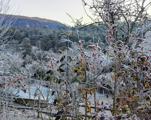 Le givre aux Busserolles