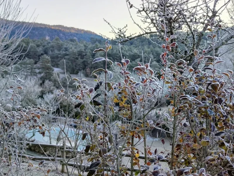 Le givre aux Busserolles