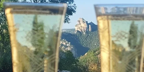 Le bar au gîte les Busserolles Aveyron