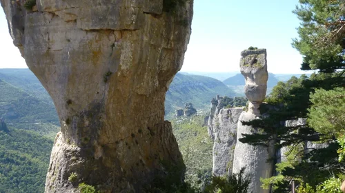 Randonnée, trail dans les Gorges du Tarn et de la Jonte