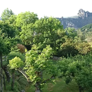 Le gîte des Busserolles - la vue